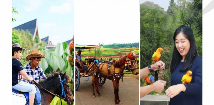 july-2020-extra-activities-program-2020-update_page_6-2