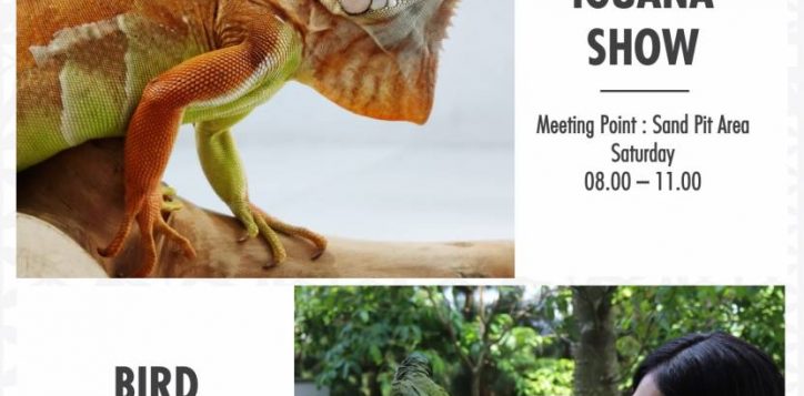 slide3-59-2