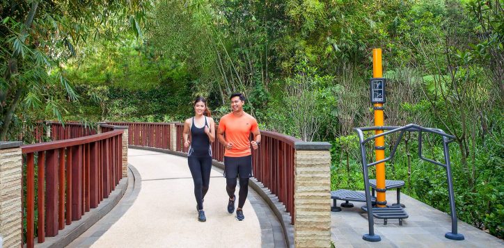 fit-trail-2
