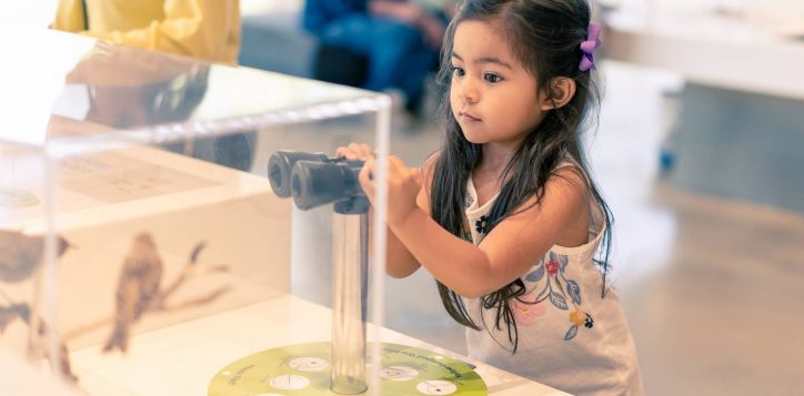 adobestock_300856525-2