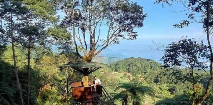 gunung-halimun-wisata-bogor-2