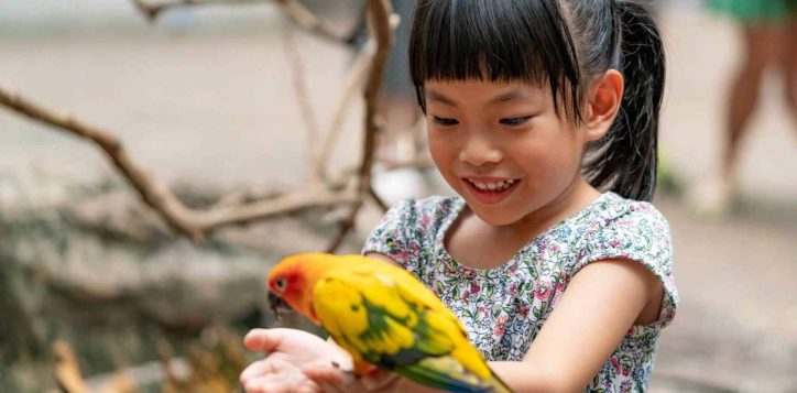 visiting-a-zoo-family-vacation-ideas-2