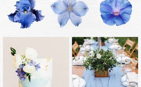 color-psychology-blue-2
