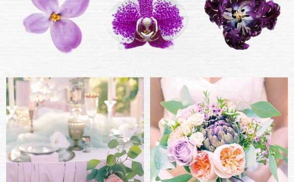 color-psychology-purple-2