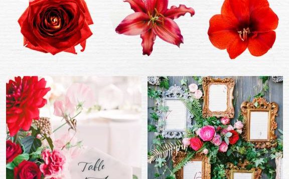 color-psychology-red-2