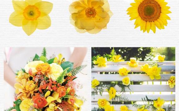 color-psychology-yellow-2