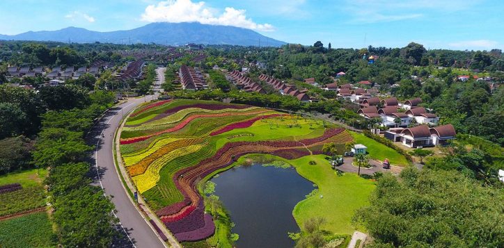 flower-hills-2