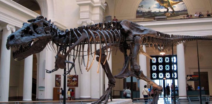 museum-zoologi-profile1695489301-2