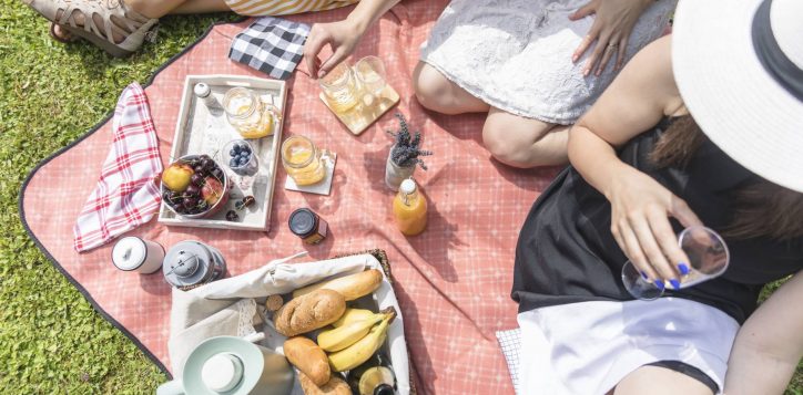 overhead-view-female-friends-enjoying-picnic-1-2
