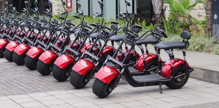 electric-bike-jpg-2
